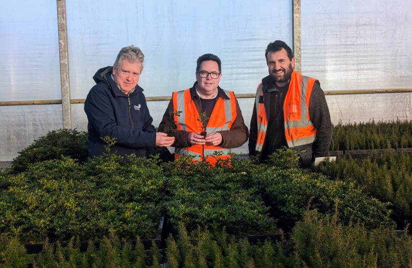 Rodney Shearer (left) and Craig Shearer (right) giving Craig Hoy MSP a tour of Elsoms Trees nursery in East Lothian