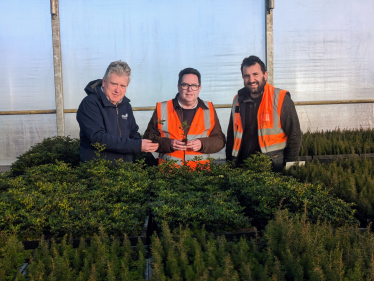 Rodney Shearer (left) and Craig Shearer (right) giving Craig Hoy MSP a tour of Elsoms Trees nursery in East Lothian